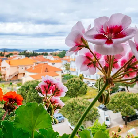 Vista - With Free Parking Appartement